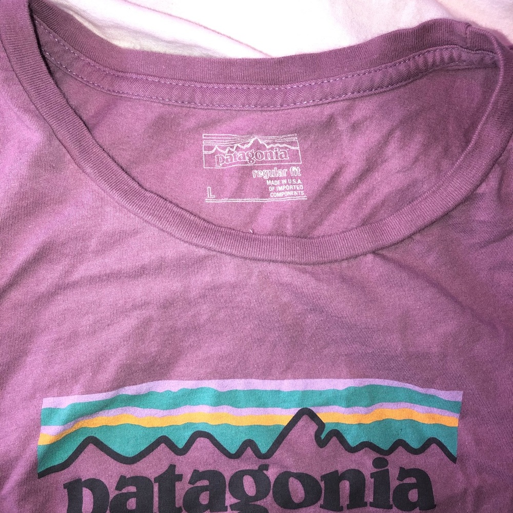 Patagonia tee